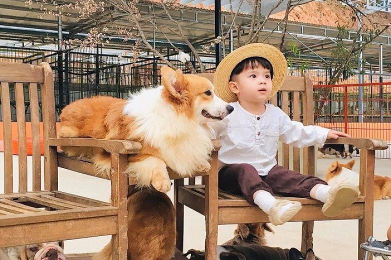 Puppy Farm Đà Lạt