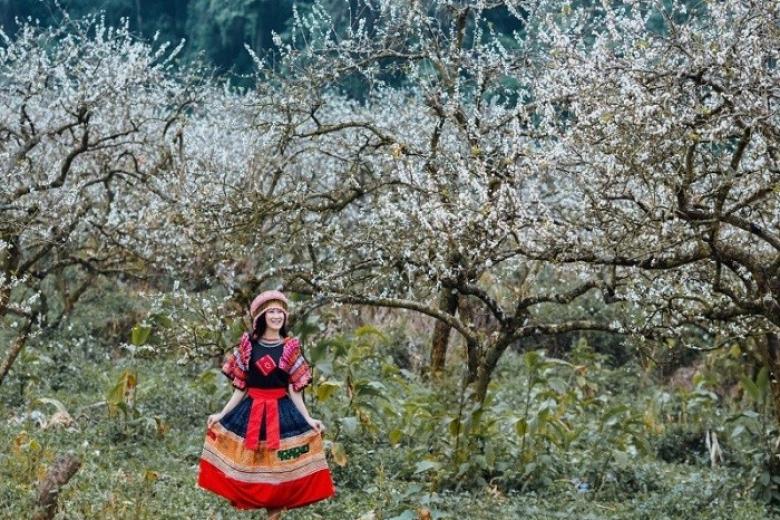 Thung lũng mận Nà Ka