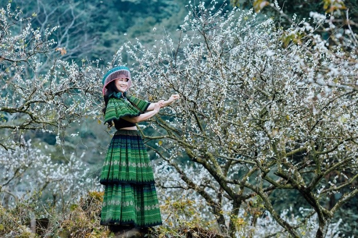 Checkin tại thung lũng Nà Ka khi mùa hoa mận gõ cửa