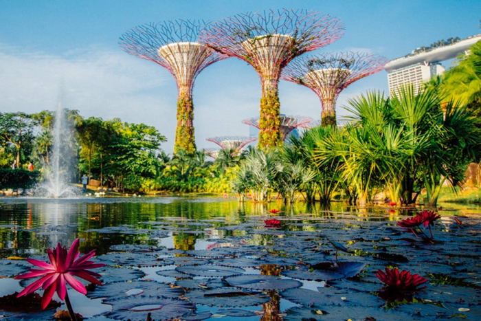 Gardens by the Bay