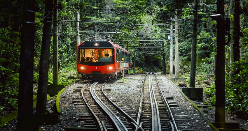 Vui chơi, tham quan