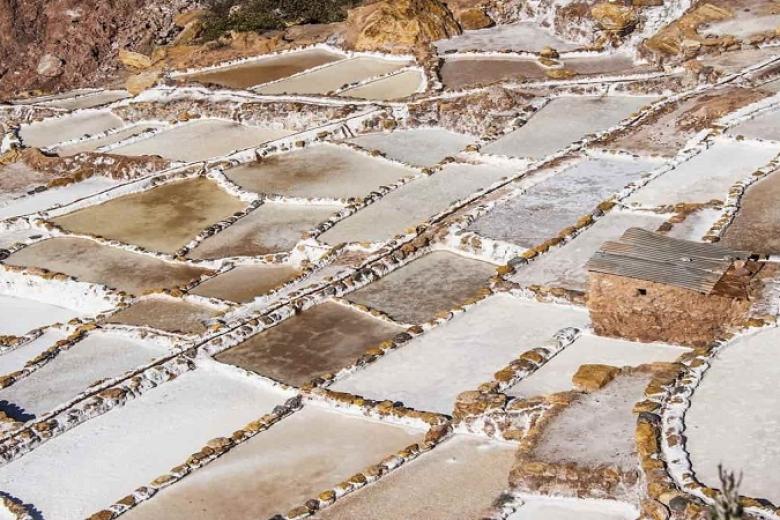 Cánh đồng muối Maras