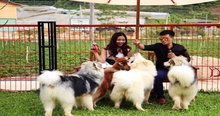 Khách trải nghiệm