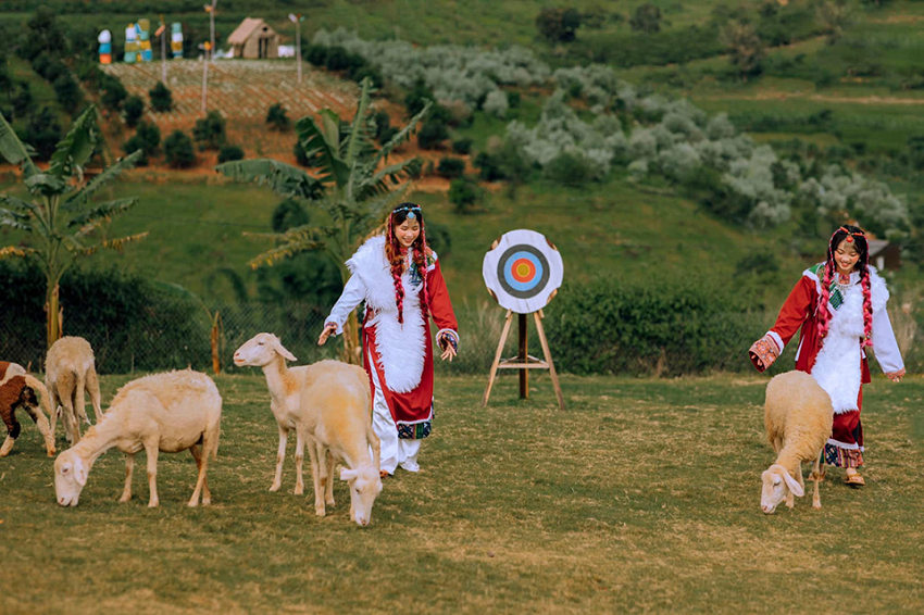 Mongo Land Đà Lạt Mongo Land Đà Lạt