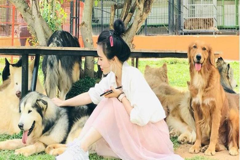 Nông Trại Cún - Puppy Farm