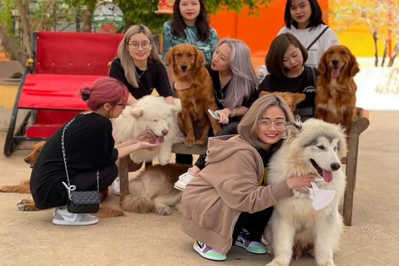 Nông Trại Cún - Puppy Farm