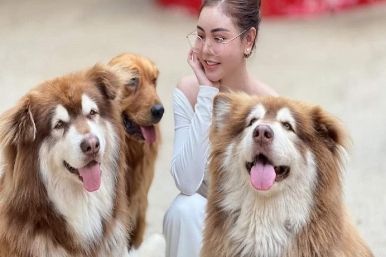 Nông Trại Cún - Puppy Farm