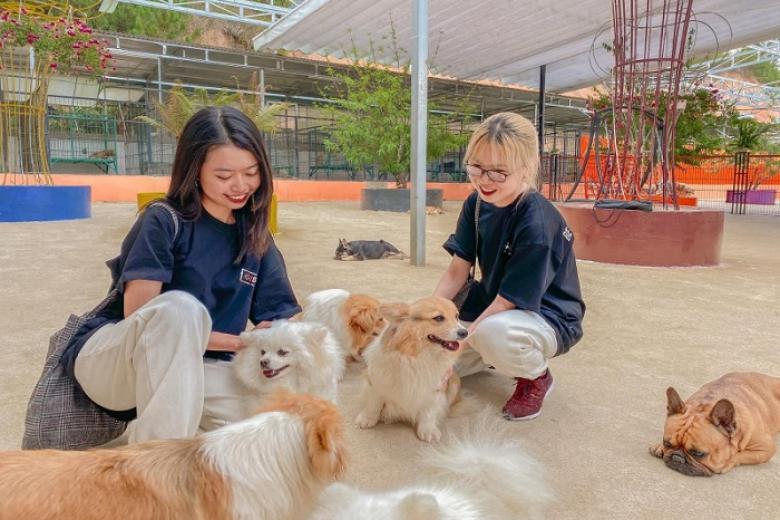 Nông Trại Cún - Puppy Farm