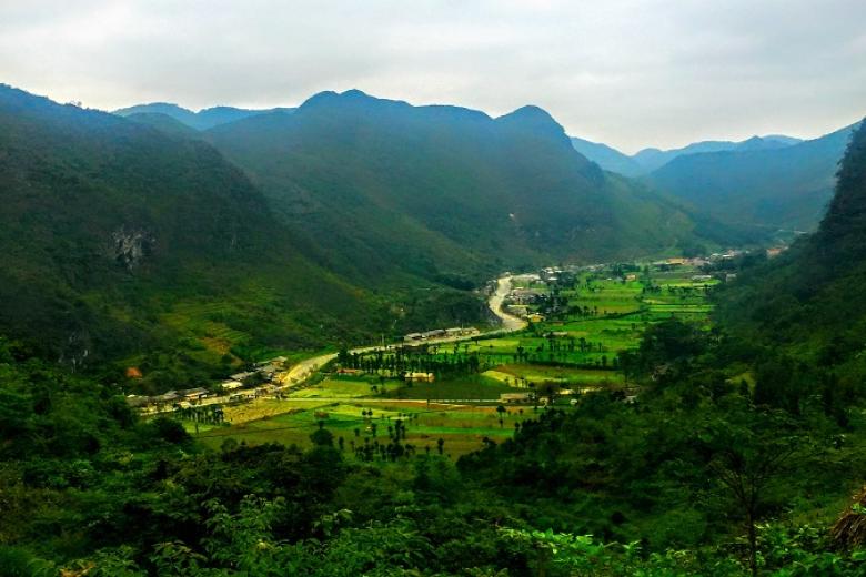 Bản Sủng Là