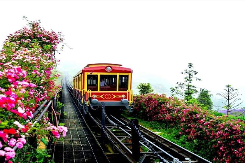 Tàu hỏa leo núi Đỗ Quyên
