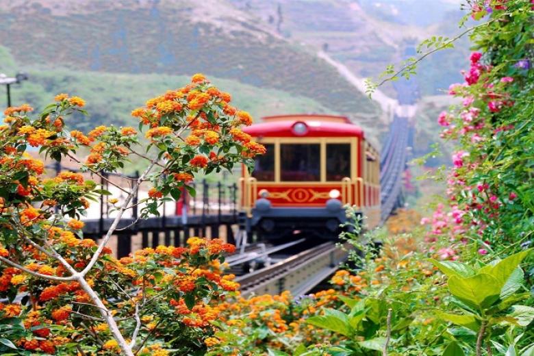 Tàu hỏa leo núi Đỗ Quyên