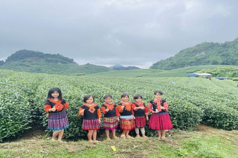 Đồi chè Trái tim