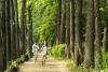 Tour Hàn Quốc 5N4Đ: Từ HCM - Seoul - Nami - Everland - Deoksugung, Bay VJ - KS 4-5*