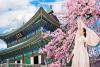 Tour Hàn Quốc 6N5Đ: Từ Hà Nội - Seoul - Nami - Busan - Tàu Điện - Làng Văn Hóa Gamcheon - Ngắm Hoa Anh Đào, Bay VJ ( Về Sáng)