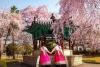 Tour Hàn Quốc 6N5Đ: Từ Hà Nội - Busan - Seoul - Đảo Nami - Incheon - Ngắm Hoa Anh Đào, Bay VJ + KS 4*, giá ưu đãi