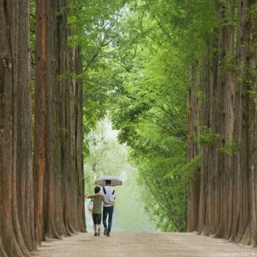 Tour Hàn Quốc 6N5Đ: Từ Hà Nội - Seoul - Jeju - Nami - Camellia Hill - Ngắm Hoa Cẩm Tú Cầu, Bay Jeju Air (7C) + KS 3-4*