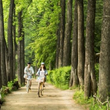 Tour Hàn Quốc 5N4Đ: Từ HCM - Seoul - Nami - Everland - Deoksugung, Bay VJ - KS 4-5*
