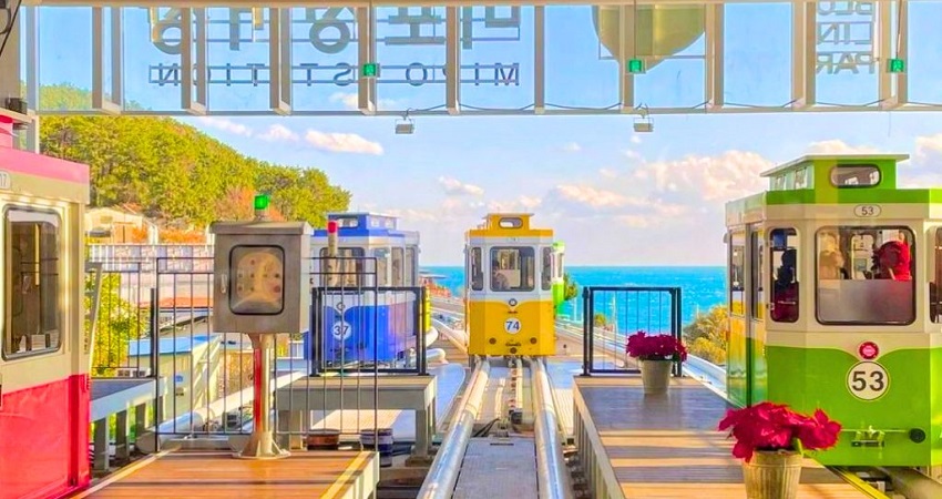 Vui chơi, tham quan