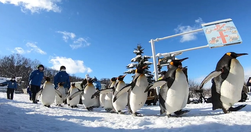 Vui chơi, tham quan