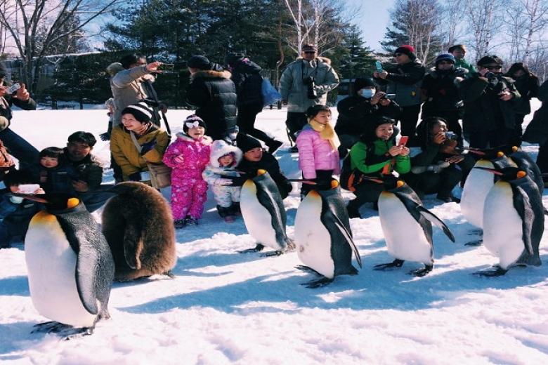 Vườn thú Asahiyama