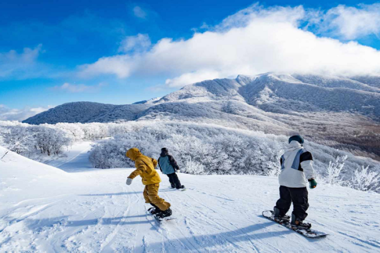 Trải nghiệm trượt tuyết tại Niseko