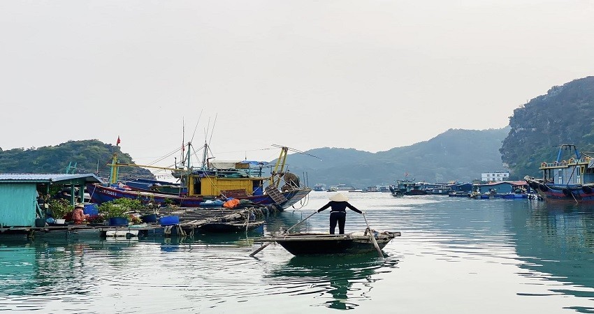 Làng chài cái bèo Làng chài cái bèo