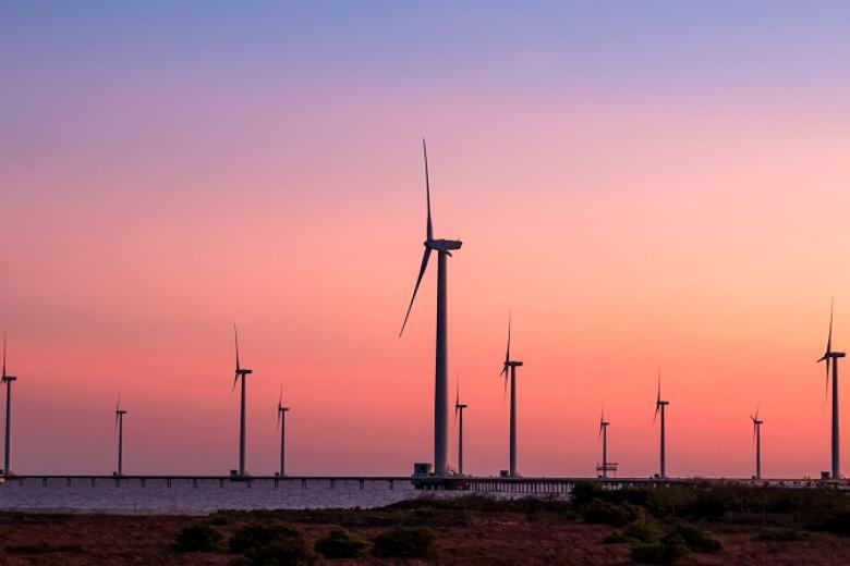 Cánh Đồng Gió Bạc Liêu