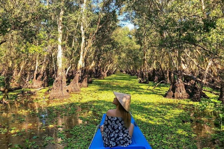 Rừng Tràm Trà Sư