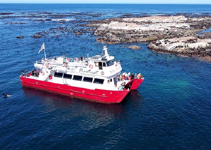 Vui chơi, tham quan