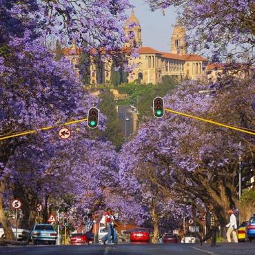 Tour Nam Phi 9N8Đ: Từ HCM - Johannesburg - Pretoria - Safari Game Lodge - Mũi Hảo Vọng - Núi Bàn - Cape Town, Bay Emirates 5*