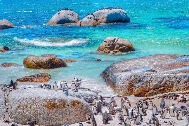 Boulders Beach