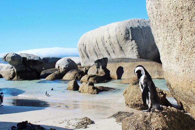 Boulders Beach