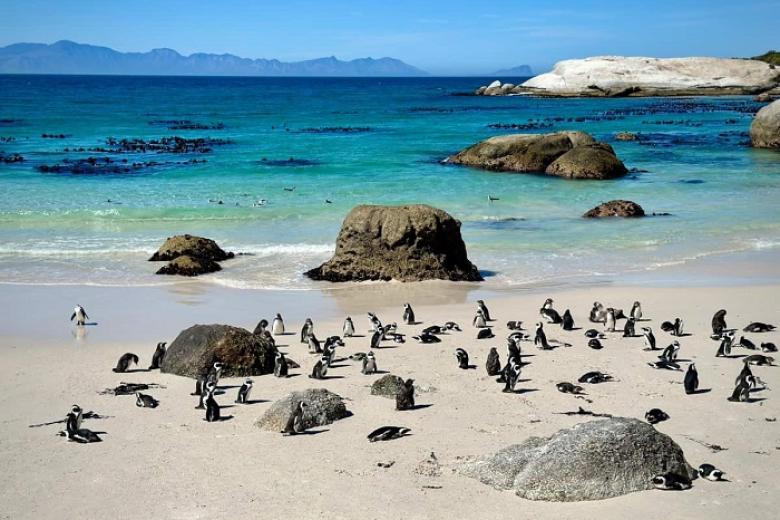 Boulders Beach