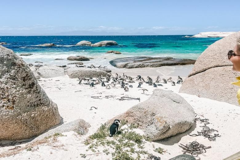 Boulders Beach