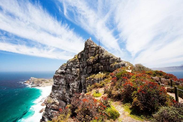 Cape of Good Hope Nature Reserve