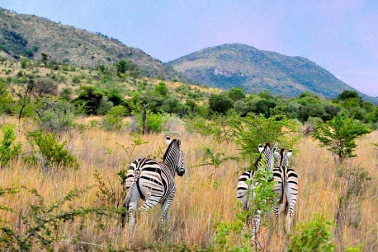 Khu bảo tồn Vườn Quốc gia Pilanesburg