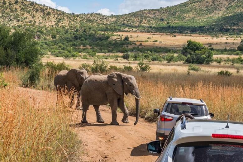 Khu bảo tồn Vườn Quốc gia Pilanesburg