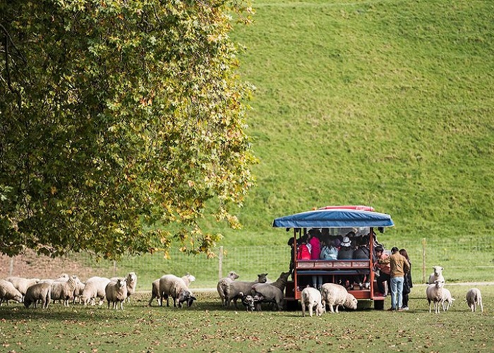 Vui chơi, tham quan