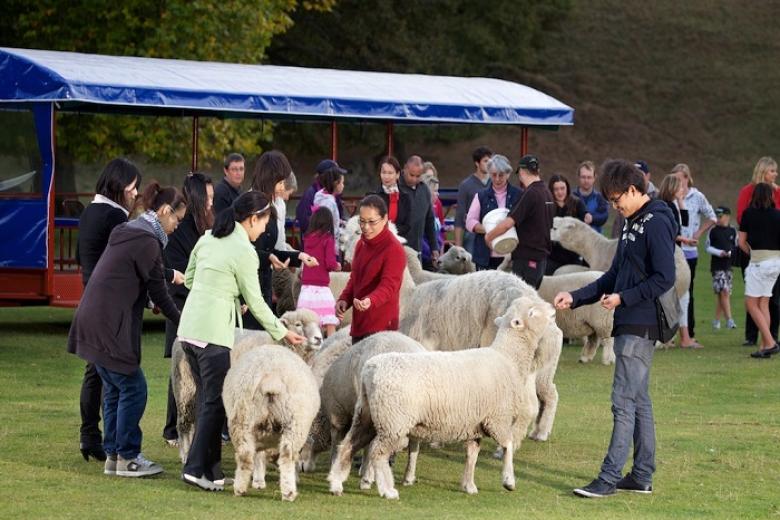 Tham quan nông trại Agrodome