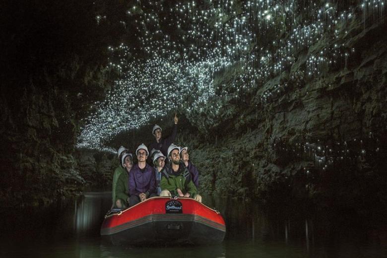 Waitomo Glowworm