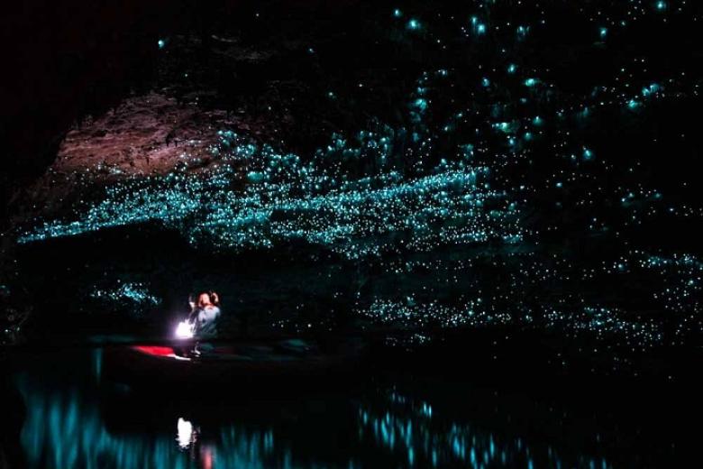 Waitomo Glowworm