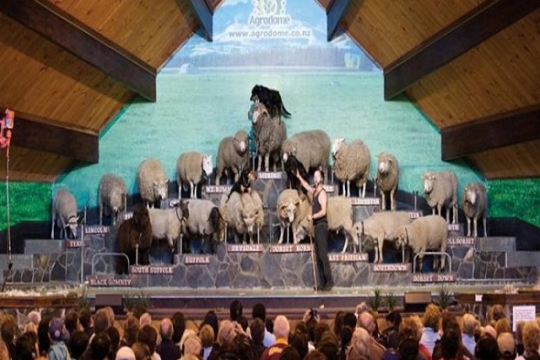 Xem chương trình Agrodome