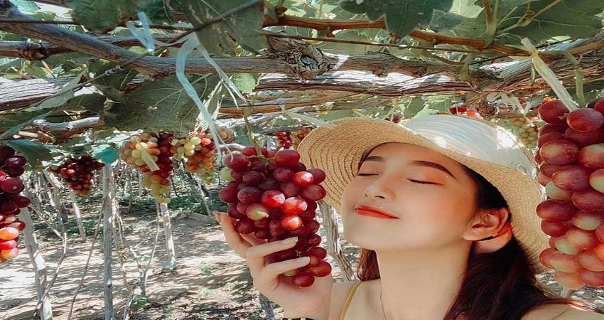 Vui chơi, tham quan