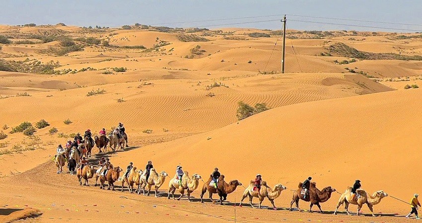 Khu du lịch sinh thái sa mạc Yinkentala 