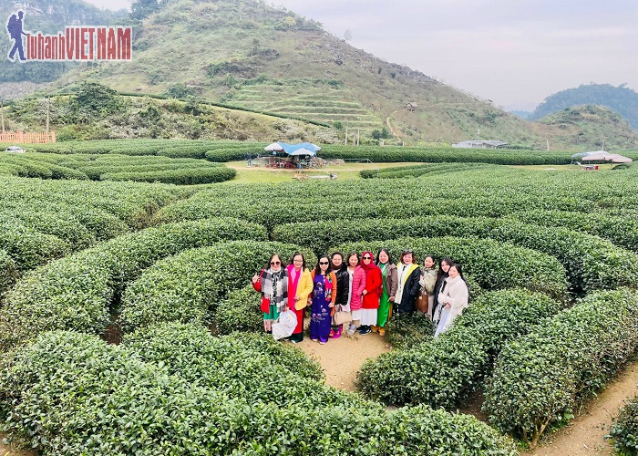 Khách trải nghiệm