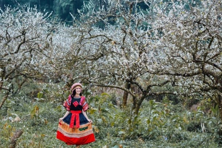 Thung lũng mận Nà Ka