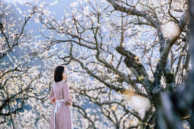 Thung lũng mận Nà Ka