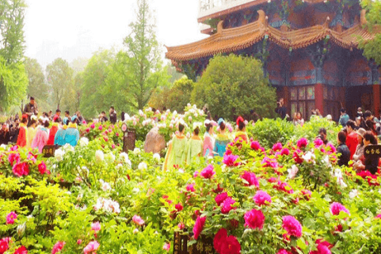 Công viên hoa Mẫu Đơn