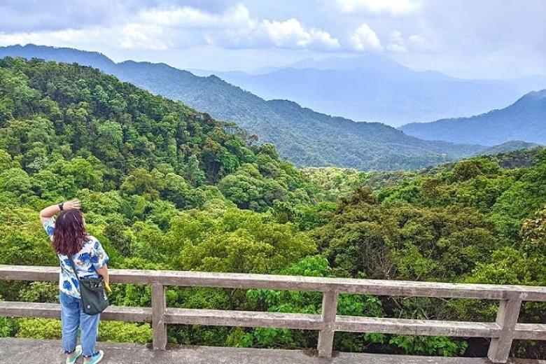 Bạch Mã  (Hải Vọng Đài)