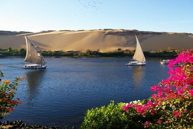 Dạo chơi trên sông Nile bằng thuyền Felucca